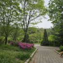 목동부동산공인중개사사무소 | [목동 8단지] 재건축+학군: 목동중 학군과 1,881세대 명품 주거 단지의 탄생(첨부: 목동8단지 26년 4월...