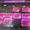 뚝방한우 이미지