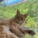 샌드비(SandB) 이미지