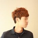 스왈로