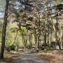 마이산 풍혈냉천 캠핑장 이미지