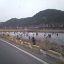 남천내 이미지