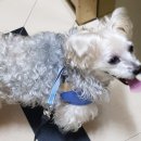 산책하는날 이미지