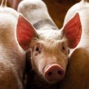 GM메디칼 이미지