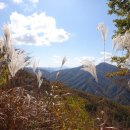 <기쁜소식>대성산(大成山1,174m)을 가다.--남한의 1000m 급 515산의 미답 3산 중 1산답사. 이미지