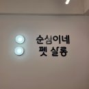 순심이네 펫살롱 네이버블로그