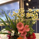 도곡초 | 화순 도곡초 교직원 연수 2회차 출강 후기[만족도 높은 제스모나이트 공예]