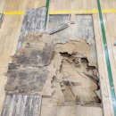 덕현초등학교 이미지