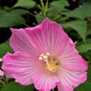 종금주유소 이미지