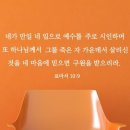 단비 - 2377 | 단비
