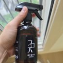 서식지 | 완벽한 초파리 없애는법: 다이소 트랩 실패 후 살충제로 서식지 뿌리뽑은 후기