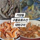 구룡포회 | [대전 대하 맛집] 내돈내산 가양동 &#39;구룡포회수산&#39; 포장 후기 (테라스 바베큐, 대하파티)