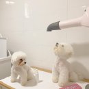 몽시앙 이미지