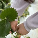 오진농장 이미지