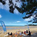 Dog Days | 🐶 반려견과 함께 즐긴 태안의 특별한 추억, SUP DOG &amp; DOG 웰니스 3DAYS 후기