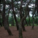 환희전자 이미지