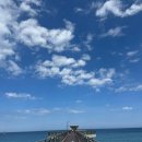 울진동물병원 | 🌊🐳 울진 국립해양과학관 방문 후기(초1 아이와 함께)