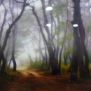 화천민속박물관 이미지