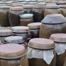 (실습)The 좋은 장 담그기 | 전통장 담그기 교육 후기｜손과 시간이 만든 된장