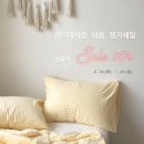 봄파마 이미지