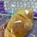 [블챌] 10월 첫째 주 기록 바쁜 일상에 쉼표 찍기 (고양이 사진 많음 주의)