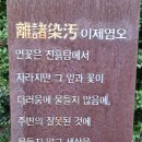 9월말의 안심연꽃단지 풍경 이미지