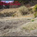 동남1리 경로당 이미지