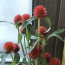 한주특장 이미지