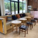 애견의 정원 이미지