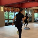 운동하는 코끼리 이미지