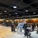 루이 짐 이미지