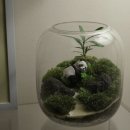 아담유치원 | 테라리움 키트 이끼테라리움 만들기 A 델가도 유치원소녀 22,800 후기