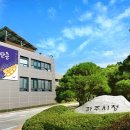 알콩달콩 이미지