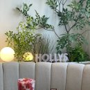 KTX언양마트 | 울산 울주군카페 할리스 울산ktx점에서 딸기신메뉴 후기