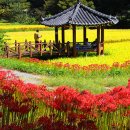 용천사입구 이미지