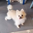쁘니살롱