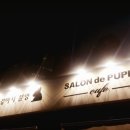 살롱드퍼피 이미지