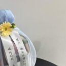 리리플레르