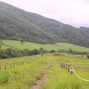 이리목장 이미지