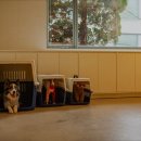 독클래스 | [이태원 호텔 숙소 추천!] 독클래스 이태원 독클래스, 24시간 전문 관리 시스템