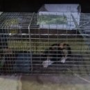 포산동물병원 이미지