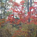 해미읍성황토펜션 이미지