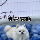 하울리데이 이미지