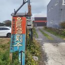 욜로올레제주 이미지