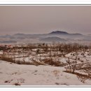 임학주유소 이미지