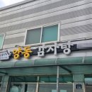 양동감자탕