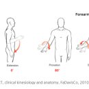 404피트니스 김해내외점 이미지