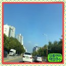 5148 | 부산동래구운전연수 진행 절차 방문운전 연수 4일 10시간 후기!