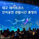 서대구네온 | 대구 아쿠아리움 데이트코스 요금표, 운영시간 인어공연 관람시간 공연 시간 정리