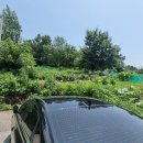 대구문성초등학교 이미지